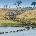 Your Africa: it’s a relationship, not just a destination