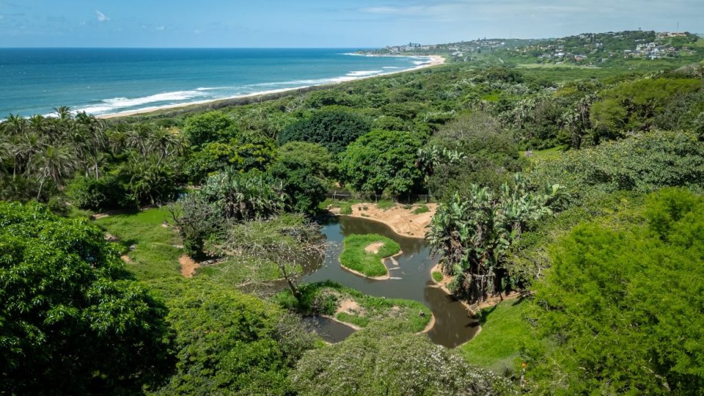 Exciting New Trail Runs Launched at Crocworld Conservation Centre in Scottburgh