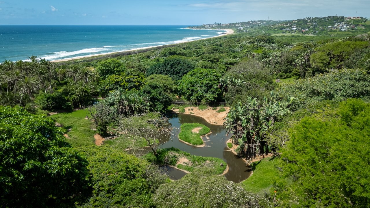 Exciting New Trail Runs Launched at Crocworld Conservation Centre in Scottburgh