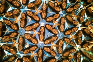 Inside The Mind-Bending Exhibitions Launching At The Museum Of Illusions In Durban This Week