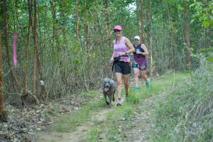 Hundreds of Runners Enjoy First-Ever Crocworld Trail Run