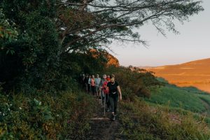 Morning Walks in Natural Space Offer Many Benefits for Retirees