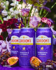 GORDON’S READY-TO-DRINK BRINGS REFRESHING CONNECTIONS TO MAWHOO IN THE PARK