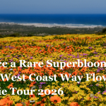 Experience a Rare Superbloom With The West Coast Way Flower and Foodie Tour 2026