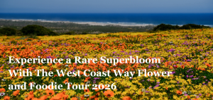 Experience a Rare Superbloom With The West Coast Way Flower and Foodie Tour 2026
