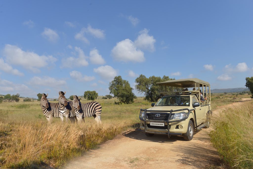 Why the Bothongo Rhino & Lion Nature Reserve  Is the Perfect Winter Holiday Adventure for the Whole  Family