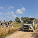 Why the Bothongo Rhino & Lion Nature Reserve  Is the Perfect Winter Holiday Adventure for the Whole  Family