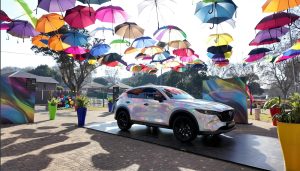 One walk One City and Wonderrrr at Walk The Talk with Mazda